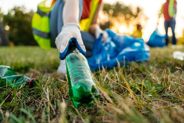 Best Yard Waste Removal  in Tularosa, NM